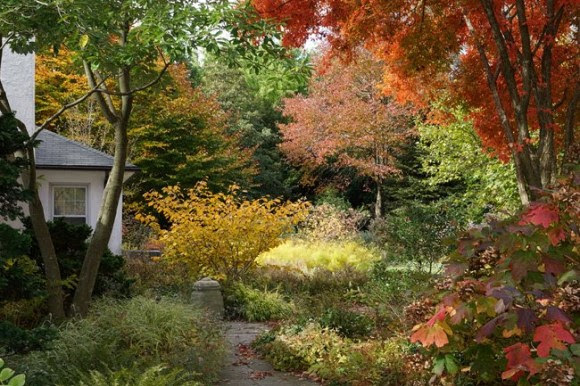 Fall garden, Rick Darke's sustainable garden