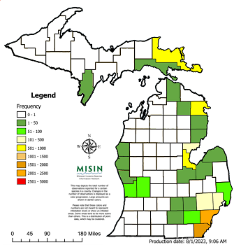A map of Michigan with counties infested with European frog-bit shaded in greens and yellows.