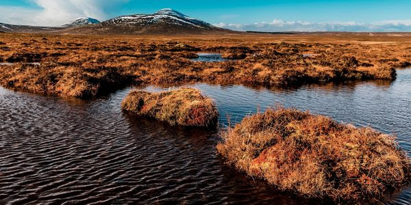 Peat lands in Scotland