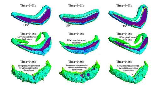 Propulsion secrets of forked caudal fins numerically investigated