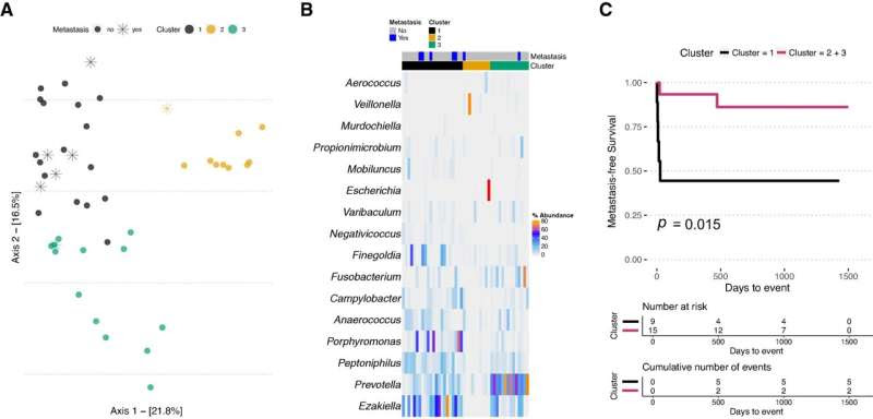 Five types of bacteria linked to aggressive prostate cancer