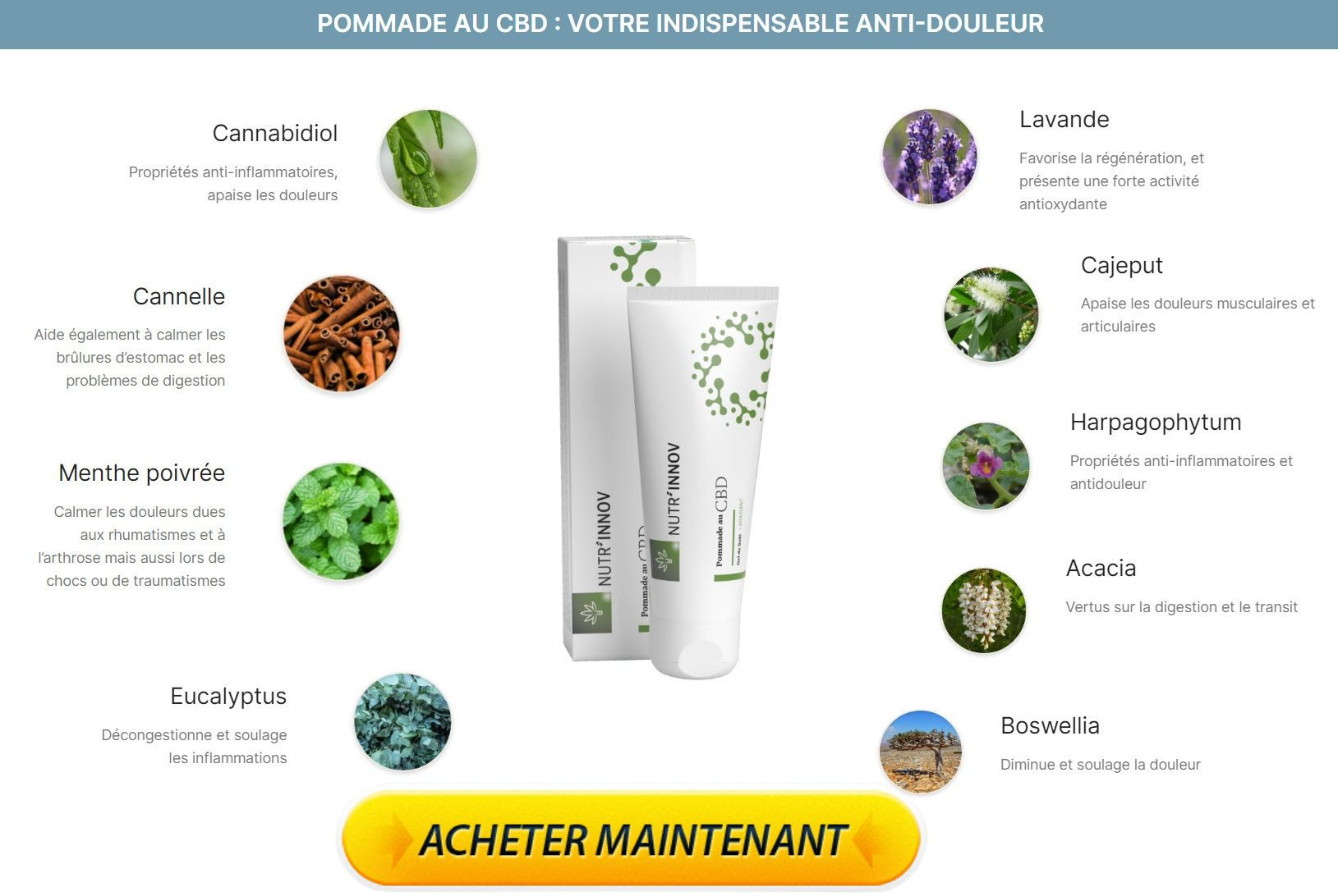 Nutrinnov Pommade au CBD