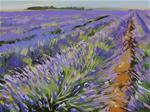 lavender field - Posted on Friday, January 9, 2015 by Beata Musial-Tomaszewska
