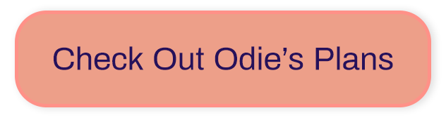 [Check Out Odie's Plans]