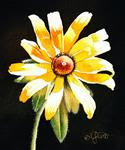 Black-Eyed Susan & New Forum Video - Posted on Wednesday, January 7, 2015 by Jacqueline Gnott