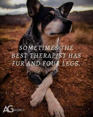 Dog-Best-Therapist