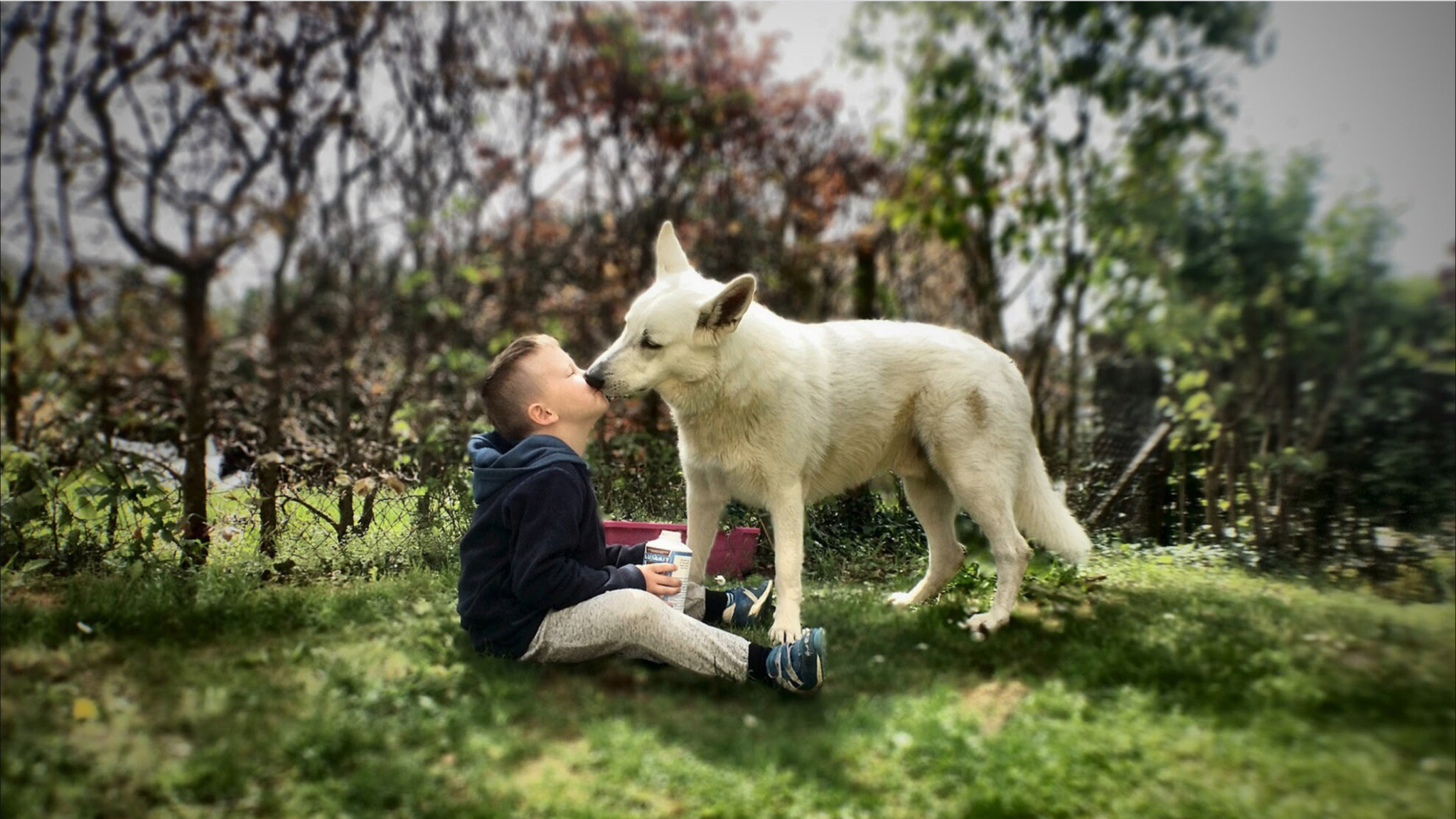 A little boy sitting on a green grassy lawn with his dog.