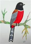 Malabar Trogon - Posted on Friday, February 6, 2015 by Ketki Fadnis