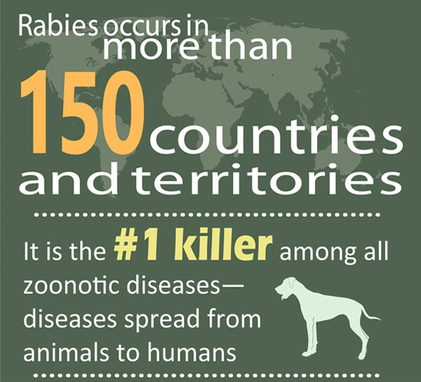 Infographic: Rabies