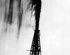 Gusher Signals Start of US Oil Industry
