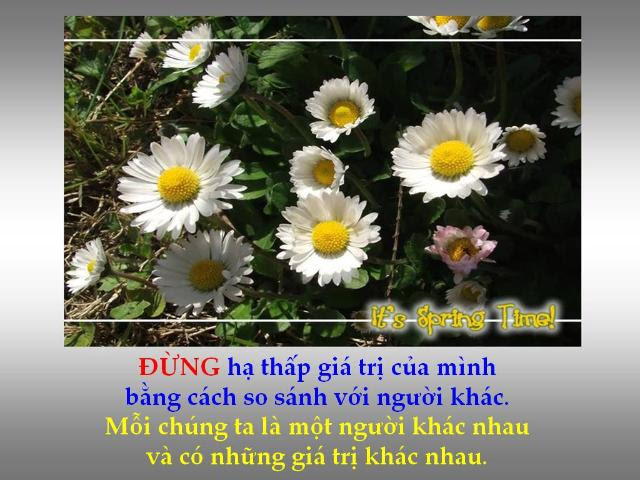 http://www.dongcong.net/photogallery/Cham-Ngon_CS/cs_clip_image023.jpg