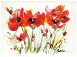 Red Poppy Graphic - Posted on Tuesday, December 30, 2014 by Pamela Gatens