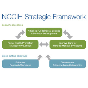 strategic framework