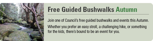Bushwalks