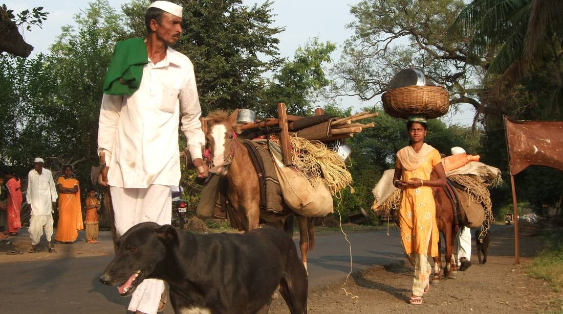 Image result for dhangar poverty herds