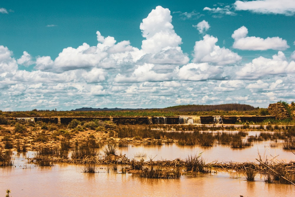 un train traversant un pont au-dessus d’une rivière