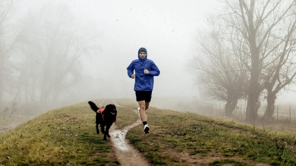 person in blue jacket and black shorts jogging early in the morning with their black dog