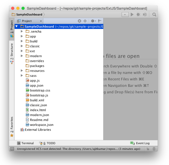 WebStorm with Sencha Ext JS plugin