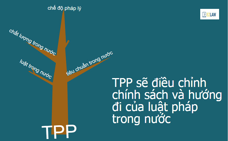 TPP Việt Nam