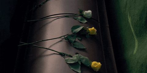 stranger things funeral season 1 netflix roses