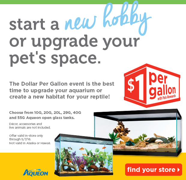 Start a new hobby or upgrade your pet's space. The Dollar Per Gallon event is the best time to upgrade your aquarium or create a new habitat for your reptile. Find  your store.