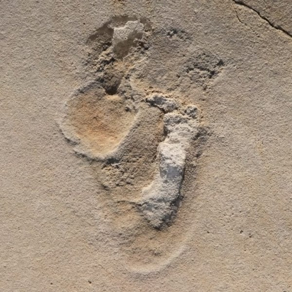 http://www.maurizioblondet.it/wp-content/uploads/2017/09/human-like-fossil-footprints-found-crete.jpg