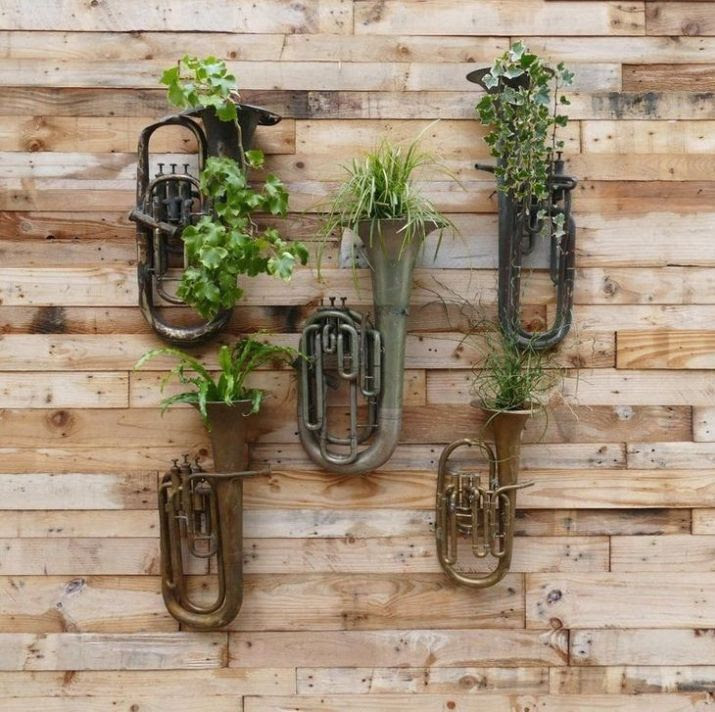 Musical-Plants