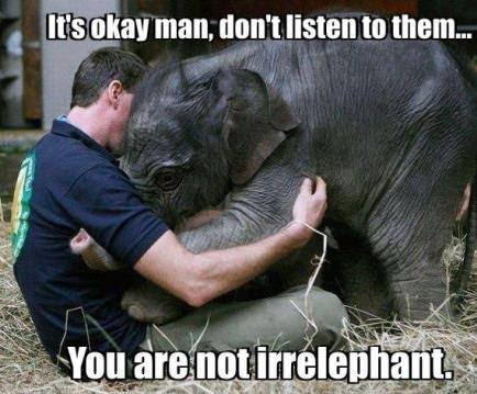 Some old, some new - I'm still laughing 12%20-%20Irrelephant