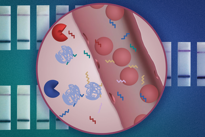 Nanoparticle sensor