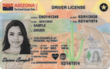 new driver license