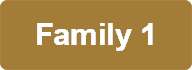Family 1