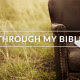 Through My Bible Yr 1 – May 26