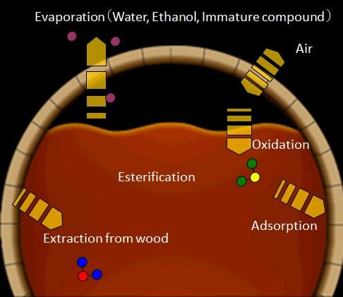 Whisky Maturation 1