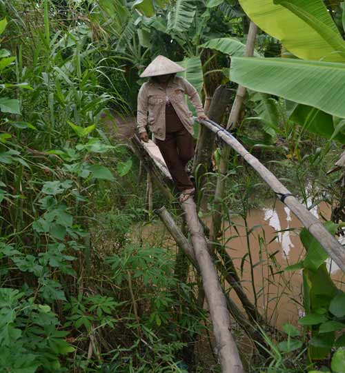 Khám phá những cây cầu khỉ cuối cùng ở miền Tây - 3