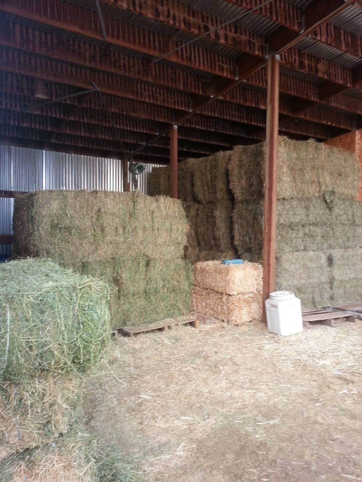 20150322 hay purchased
