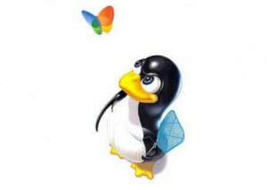 WindowsvsLinux