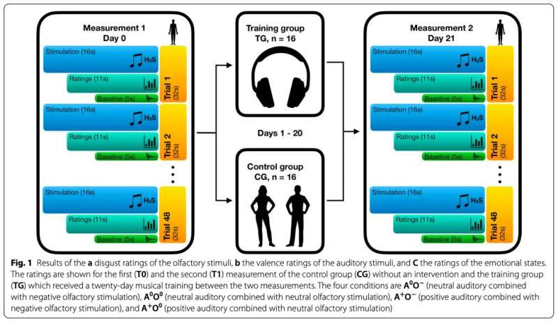 Neuroscientists assess the impact of a short-term musical training on implicit emotion regulation