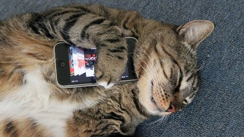 Recordar vidas pasadas.. el método fácil. Gatotel