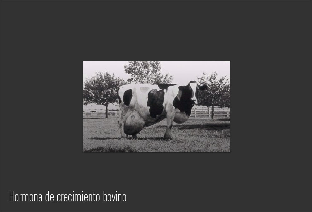 Hormona de crecimiento bovino