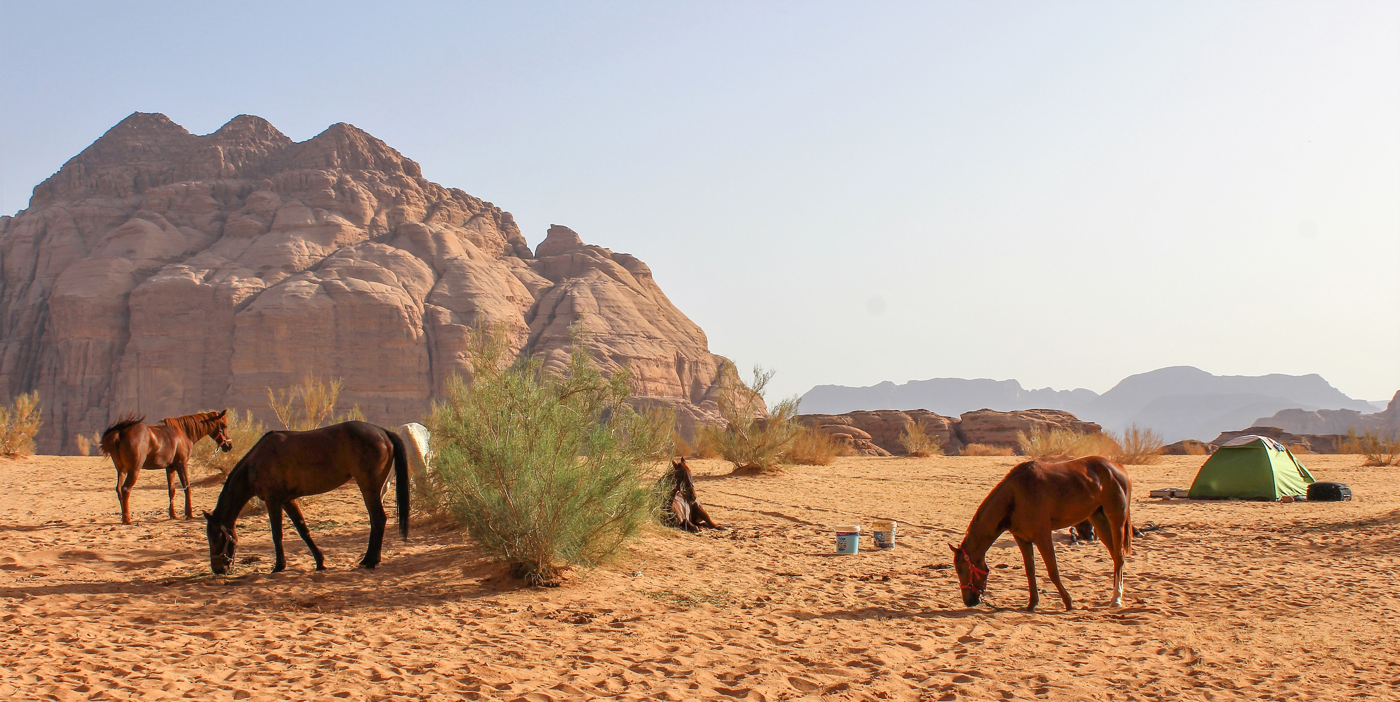 horse riding holiday