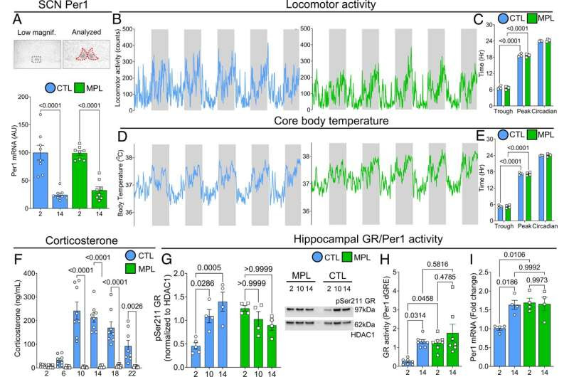 Long-term use of steroids could impair memory, study finds