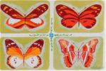 Orange and Gold Butterfly #1 - Posted on Tuesday, February 3, 2015 by Velma Davies