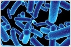 Penn researchers single out bacterial enzyme behind gut microbiome imbalance linked to Crohn’s disease