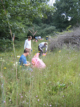 stewardship volunteers in field