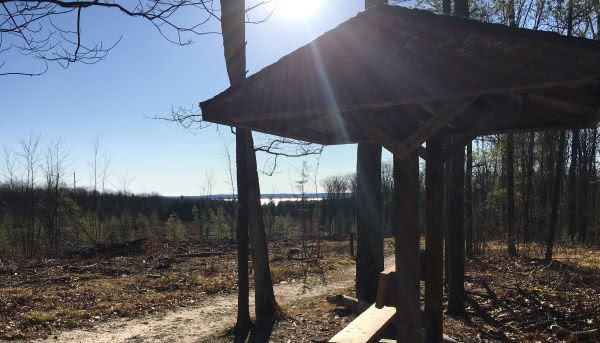 Cutting trees has helped clear a view along the trail all the way to Higgins Lake. 